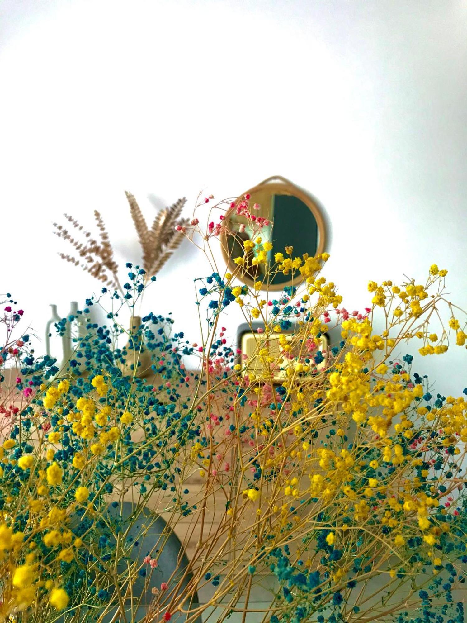 Koroni House *